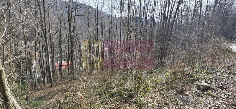 Tere intravilan de vanzare in Sinaia