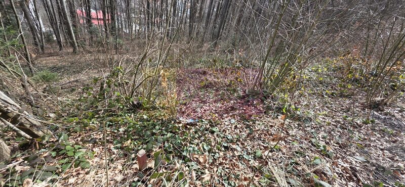 Tere intravilan de vanzare in Sinaia