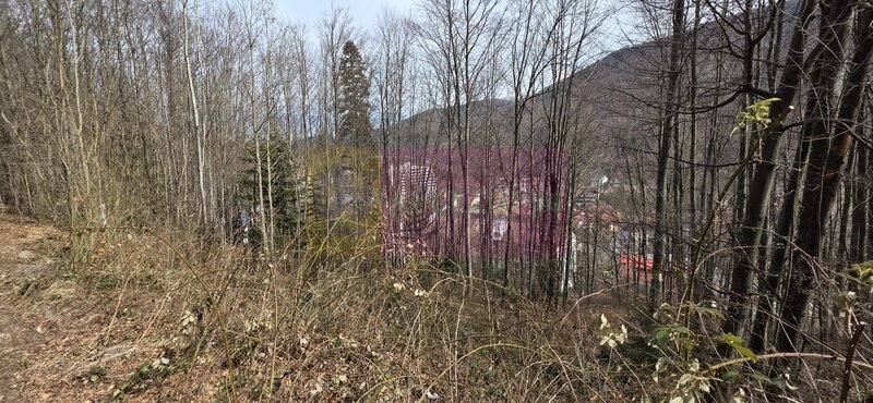 Tere intravilan de vanzare in Sinaia