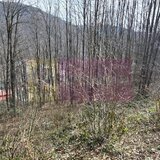 Tere intravilan de vanzare in Sinaia